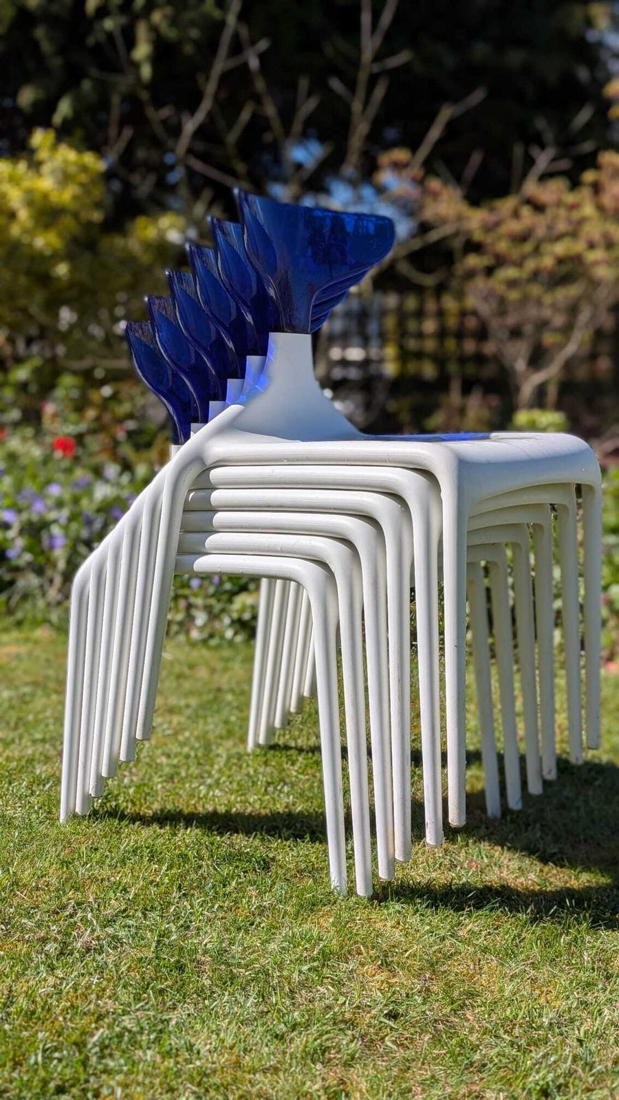 Set Of 6 Punk Dining Chairs By Archirivolto For Green Srl, Italy (C. 2010 2011) photo 290.0