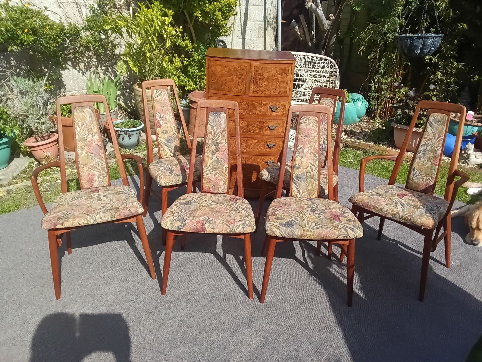 Reduced Another £200.... Set Of 6 Niels Koefoed Eva Dining Chairs For Hornslet.