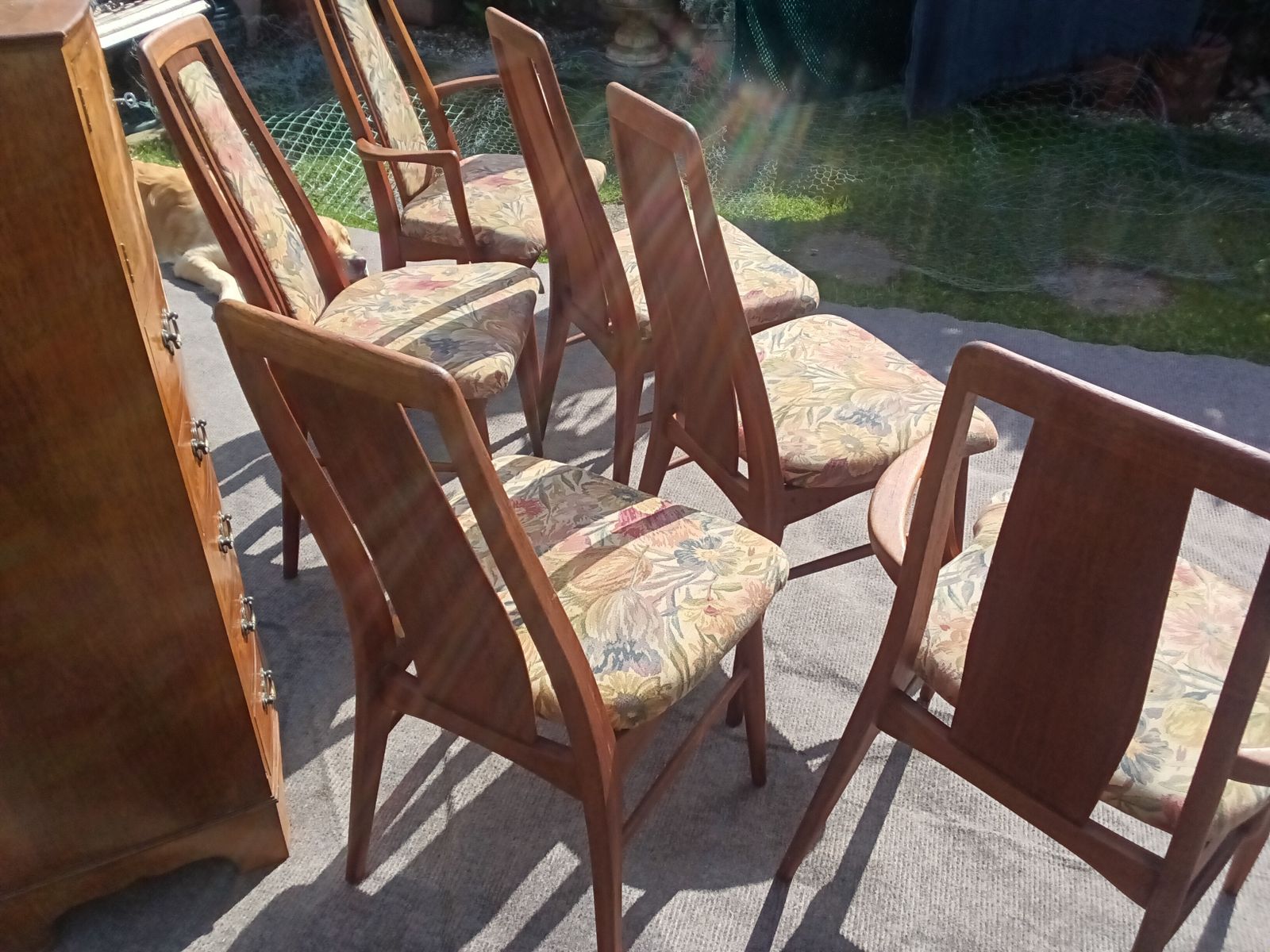 Reduced Another £200.... Set Of 6 Niels Koefoed Eva Dining Chairs For Hornslet. photo for sale