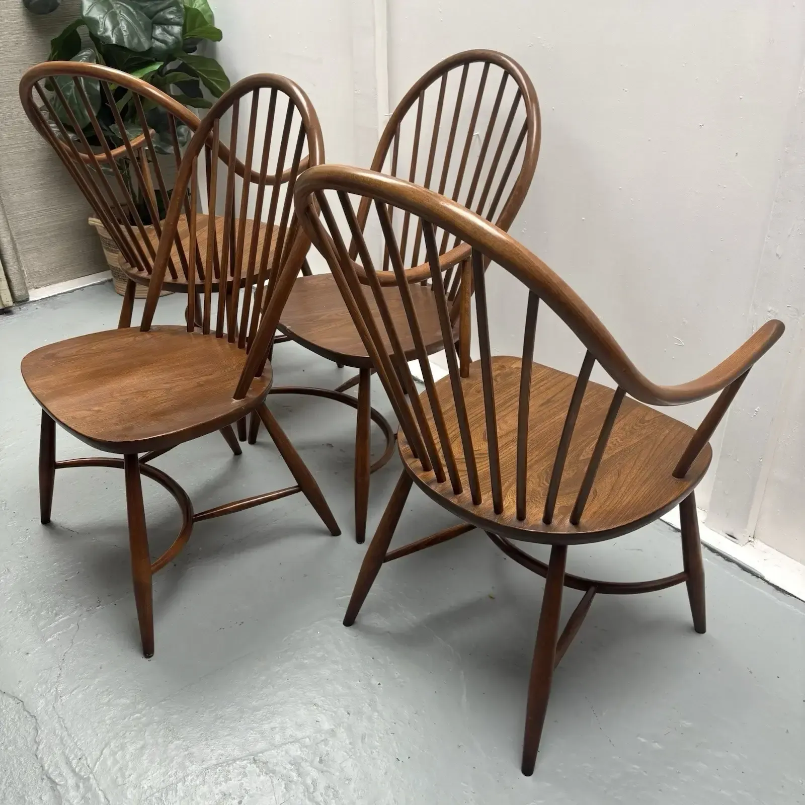 880.0 4 Ercol Dining Chairs Cryoline Stretcher Model 909 2 Rare Carvers Golden Dawn photo