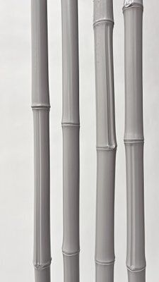 Grey Lacquered Rattan Room Divider By Gunter Lambert, 2008 photo 55.0