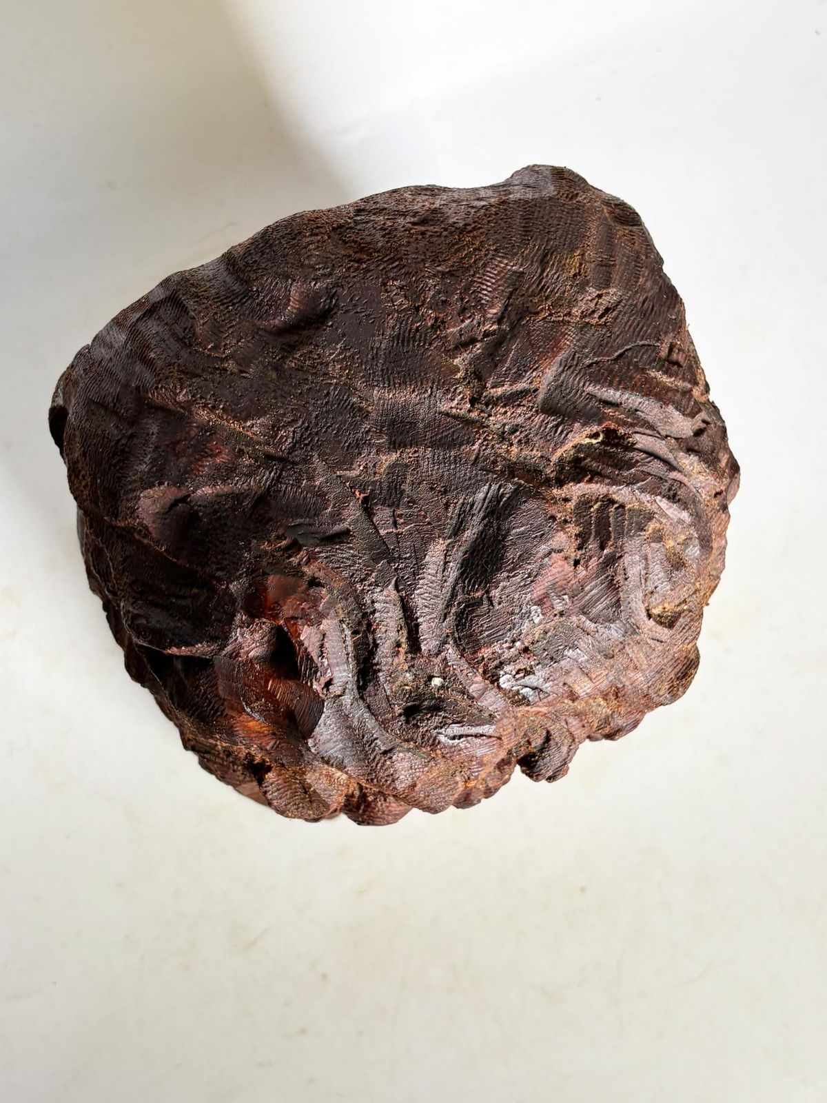 Sculpture Of A Head In Wood, France, 1960 photo vinterior