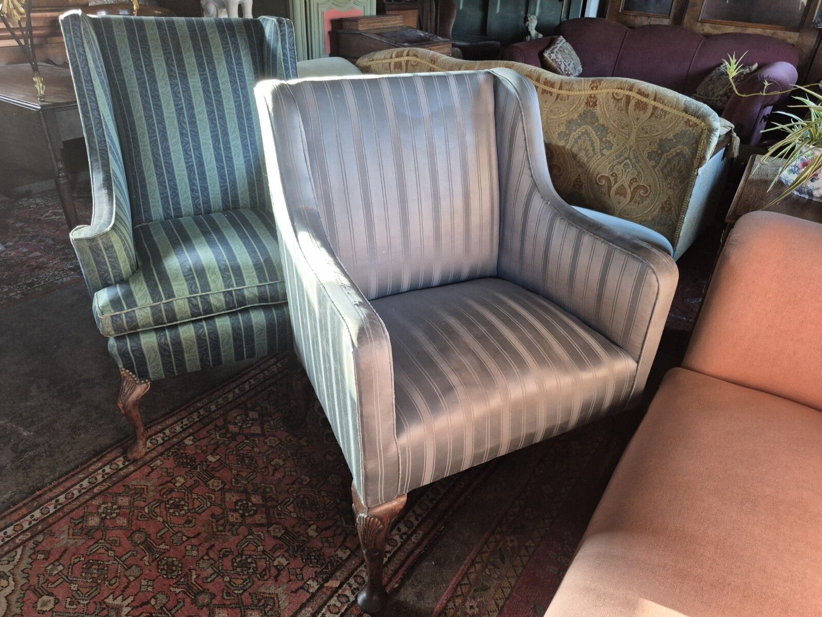photo vintage Super Pair Of Shell Leg Blue Vintage Antique Stripey Silky Edwardian Armchairs