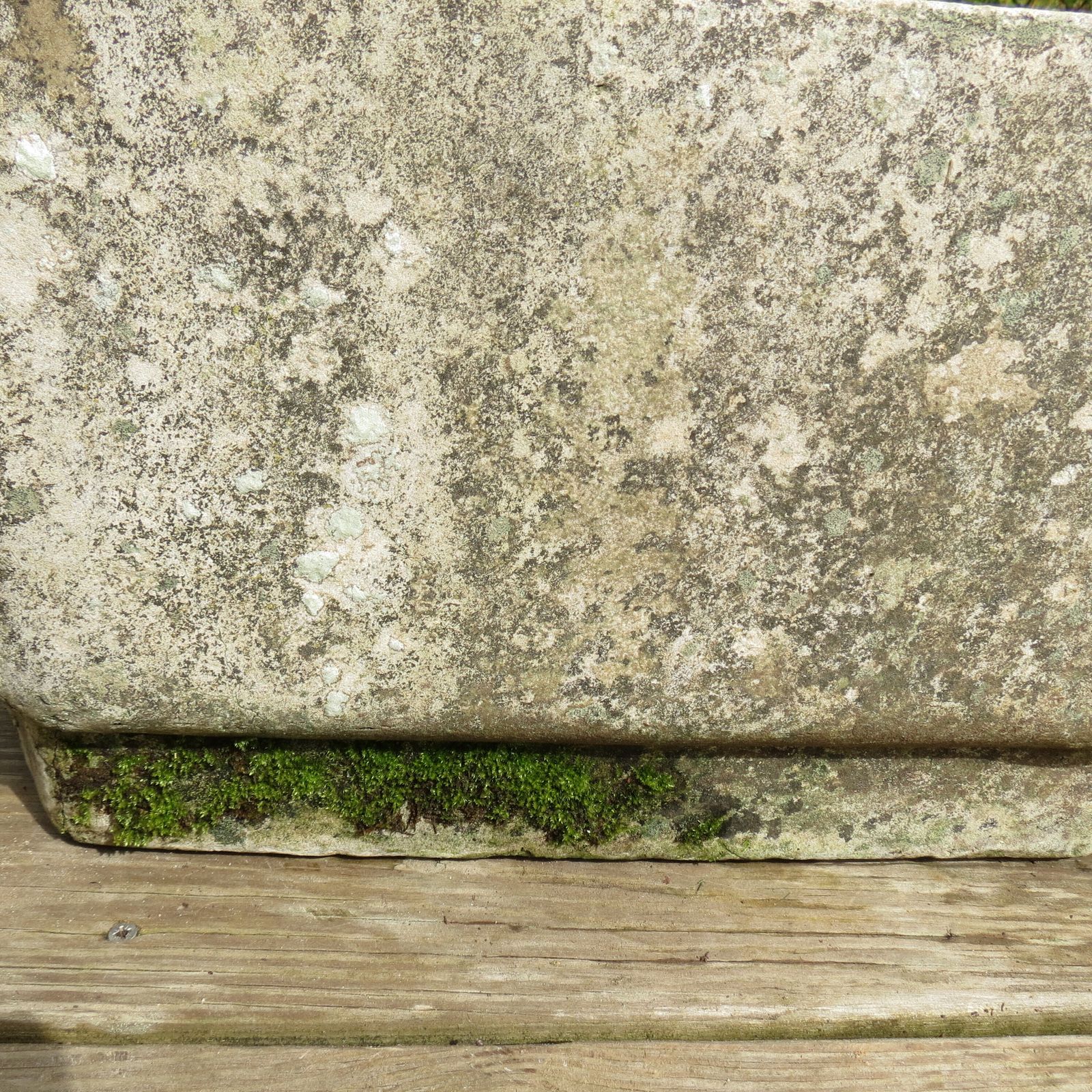 photo for sale Large Hexagon Concrete Garden Planter 1970s
