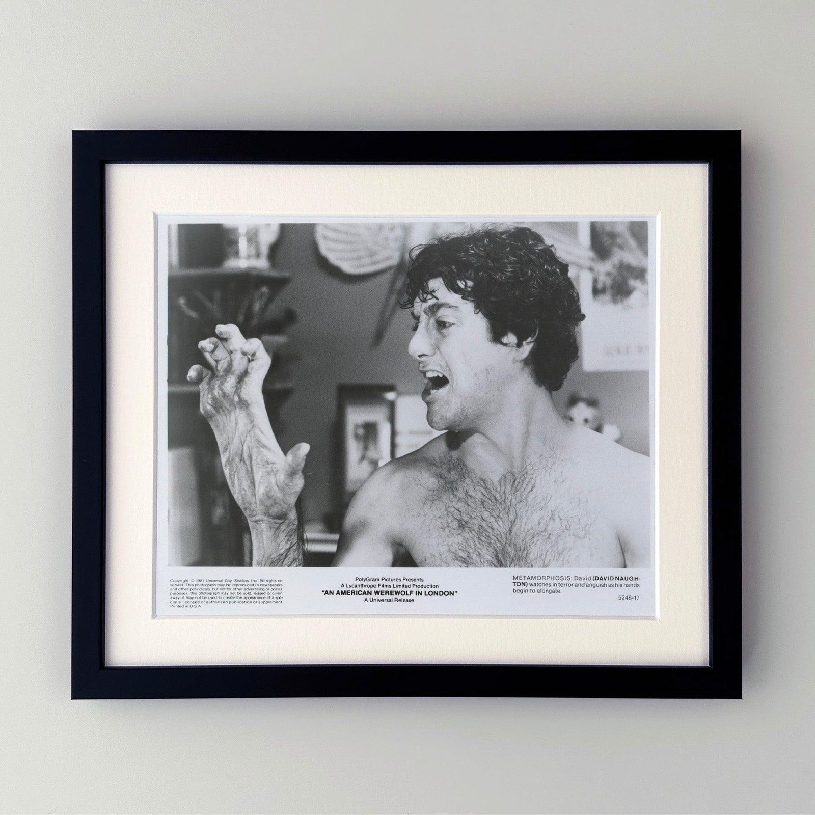 An American Werewolf In London (1981) Press Publicity Still   Framed photo furniture