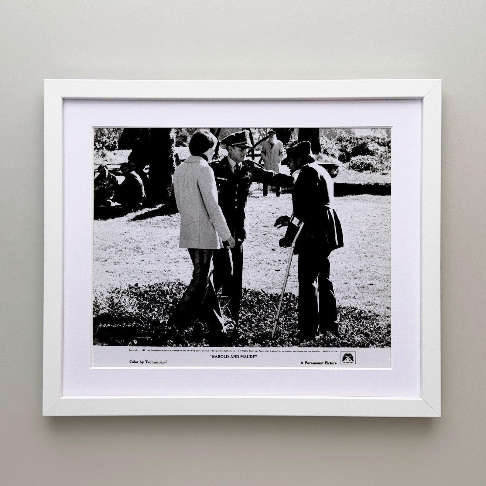 Photo de presse Harold And Maude (1971), encadrée photo for sale