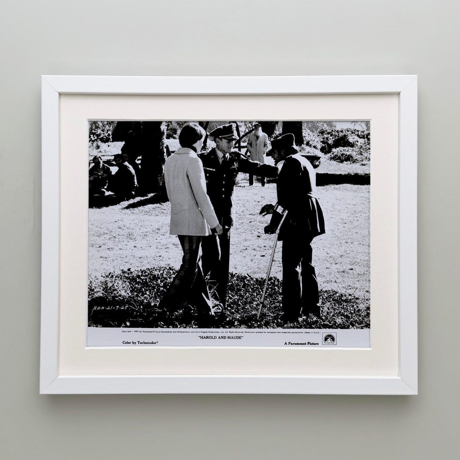 Photo de presse Harold And Maude (1971), encadrée photo Art