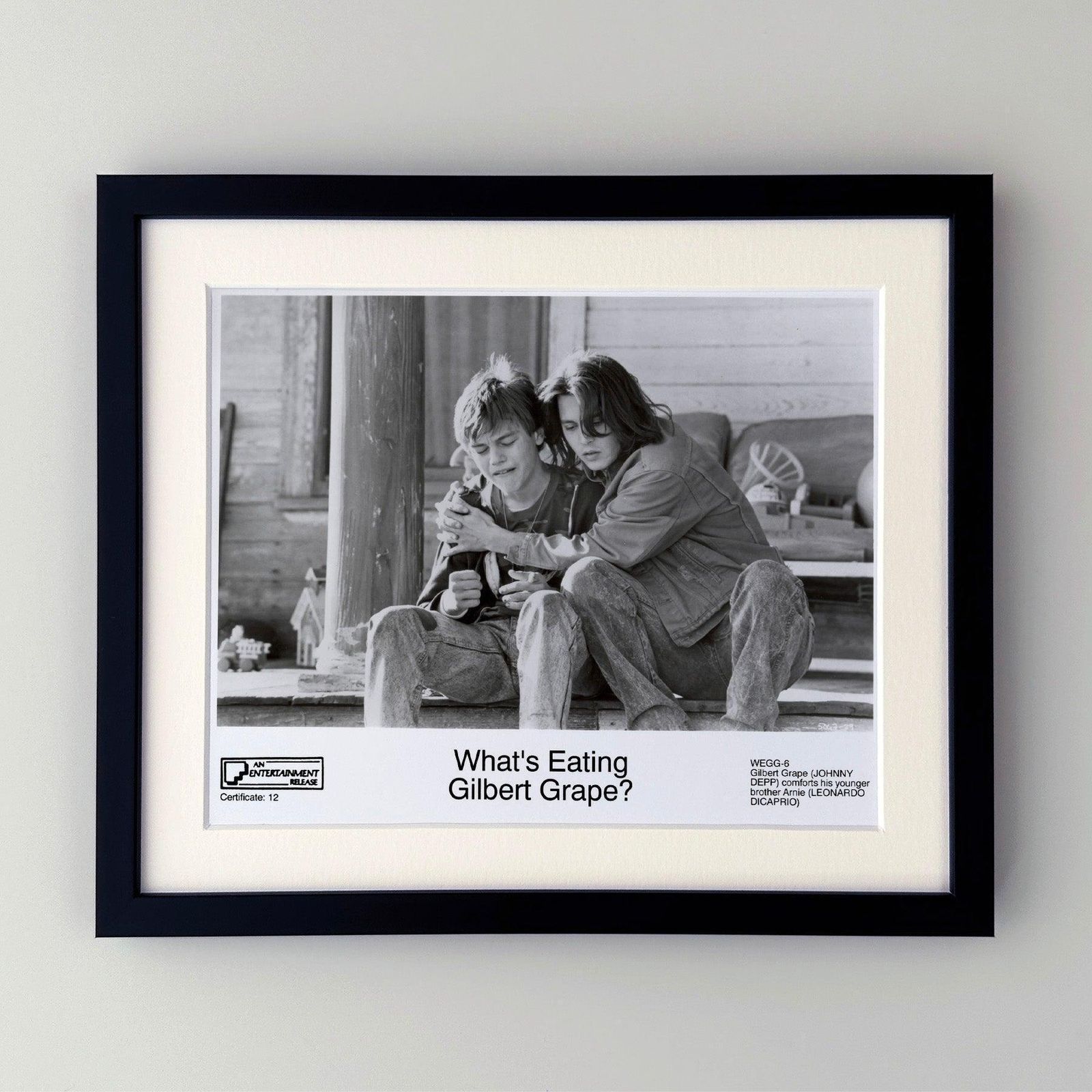What's Eating Gilbert Grape 1993 Publicity Film Movie Press Still Framed photo furniture