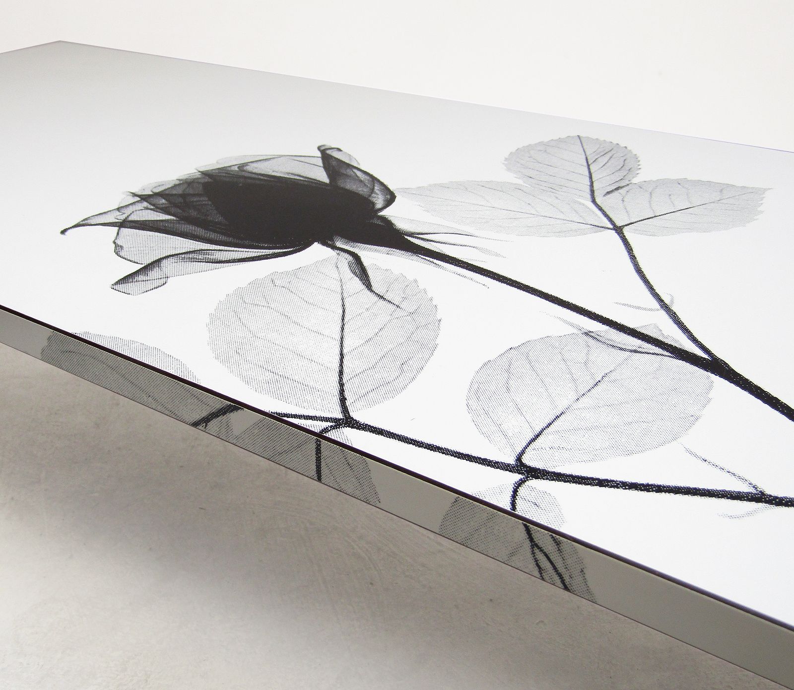 1960s Rectangular White Rose Coffee Table By Terence Conran photo 700.0