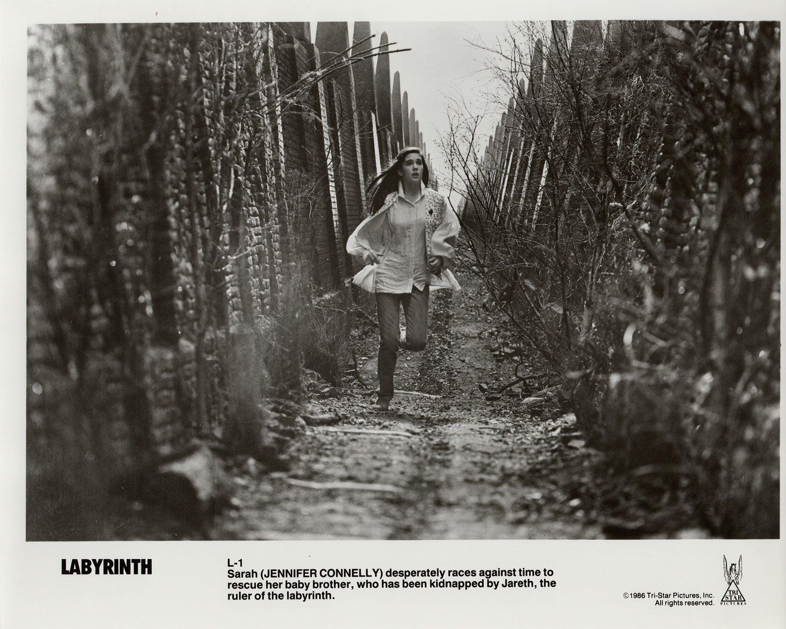 Labyrinth 1986 Publiciteitsfilm Movie Press Still, ingelijst photo vinterior