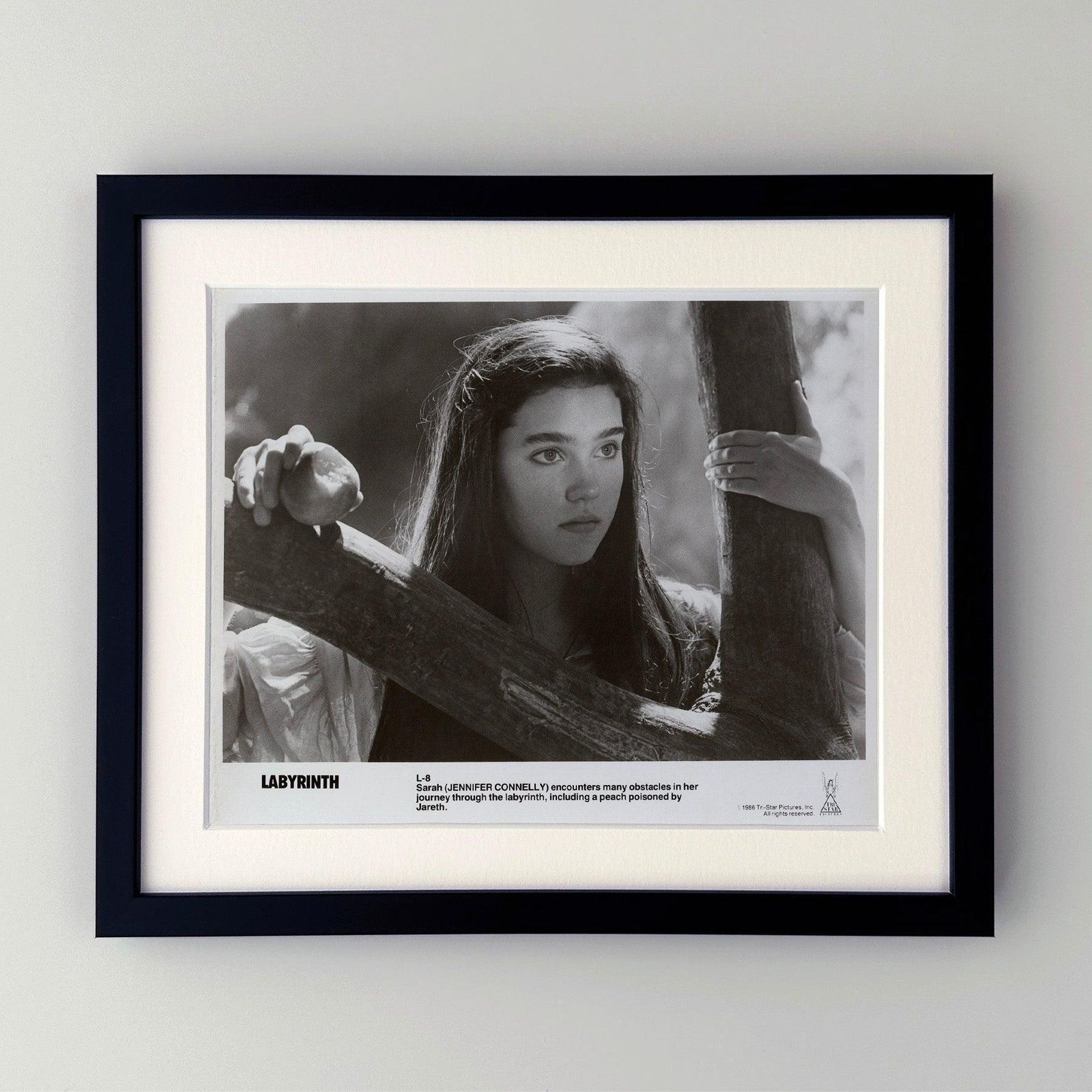 Labyrinth 1986 Publicity Film Movie Press Still Framed photo furniture