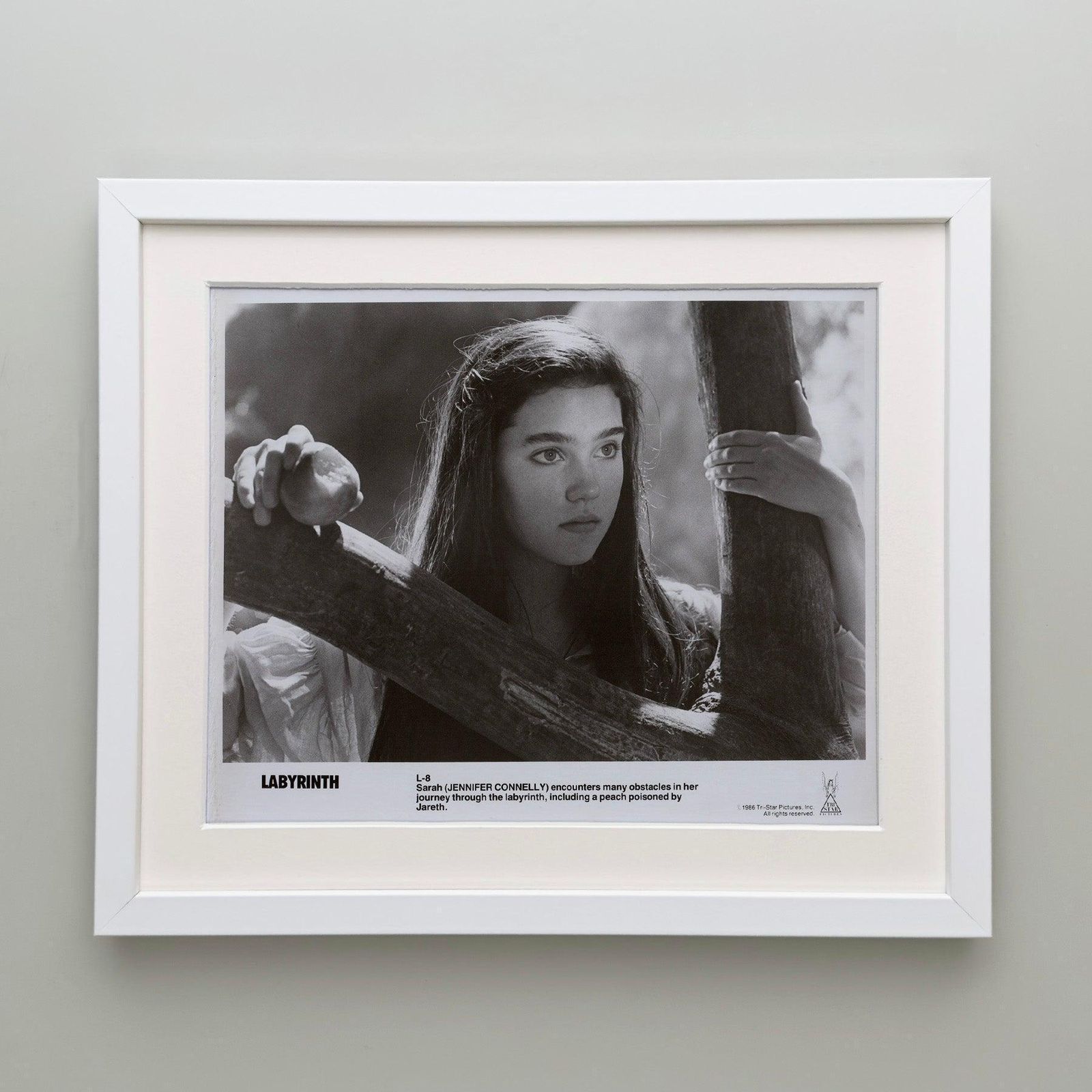 Labyrinth 1986 Publicity Film Movie Press Still Framed photo Art