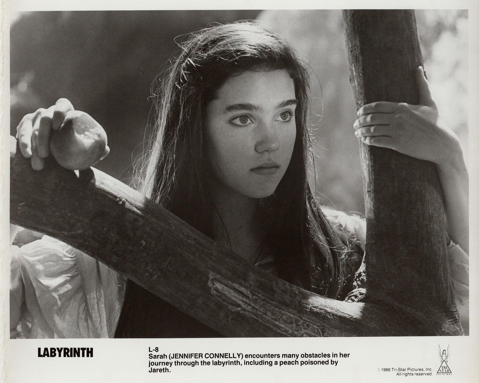 Labyrinth 1986 Publicity Film Movie Press Still Framed photo vinterior
