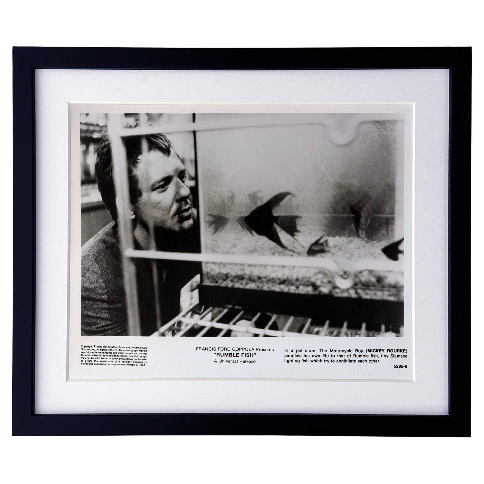Photo de presse originale encadrée, Rumble Fish, 1983