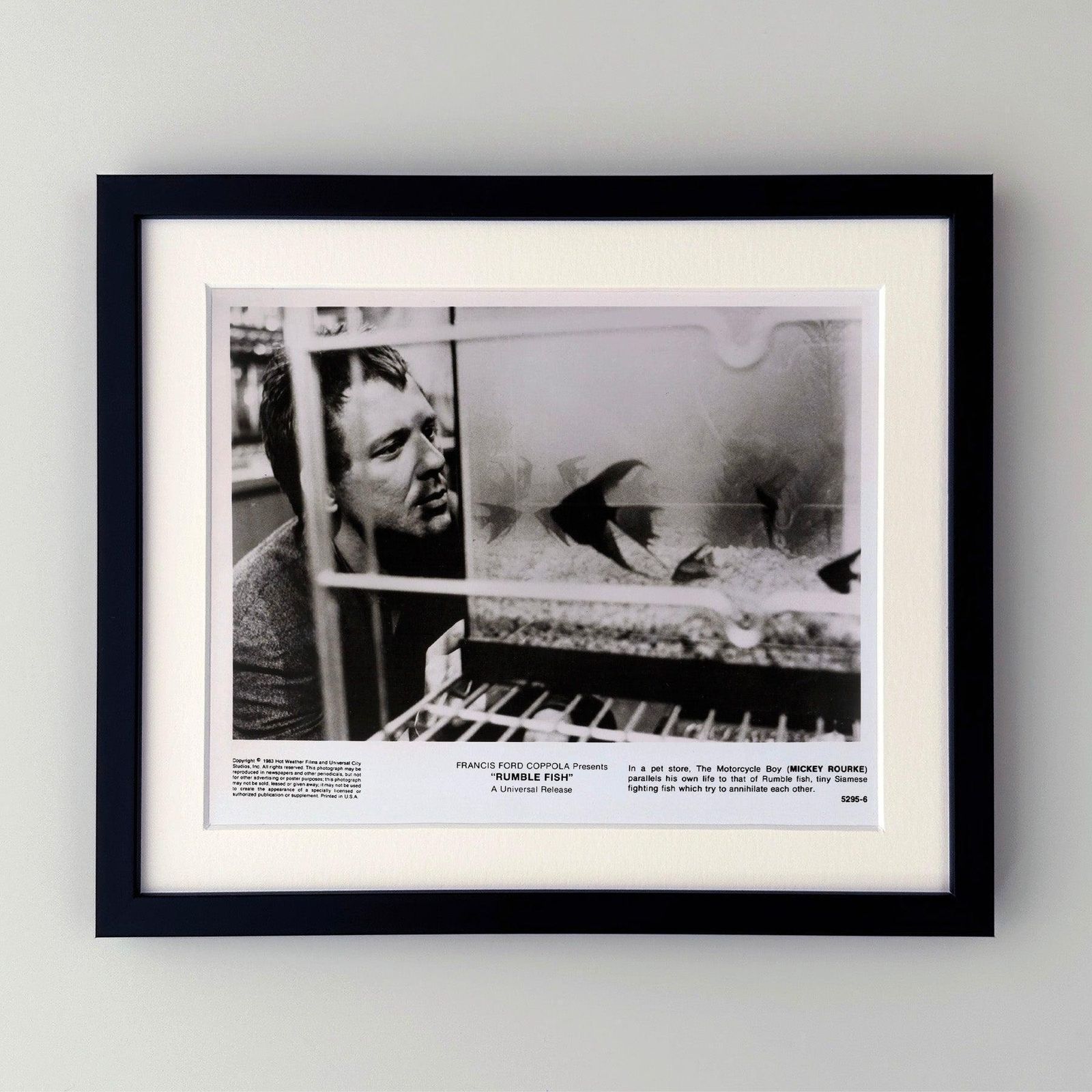 Photo de presse originale encadrée, Rumble Fish, 1983 photo furniture
