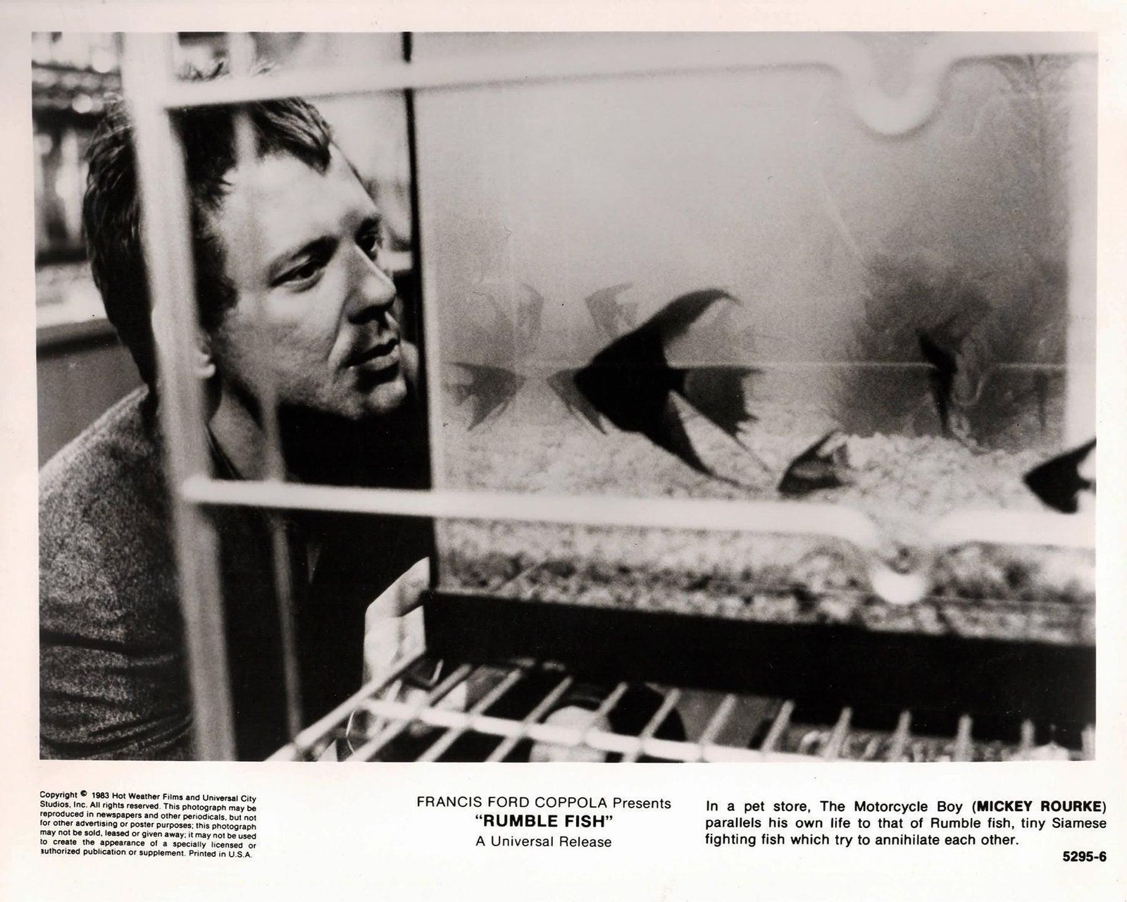 Photo de presse originale encadrée, Rumble Fish, 1983 photo vinterior