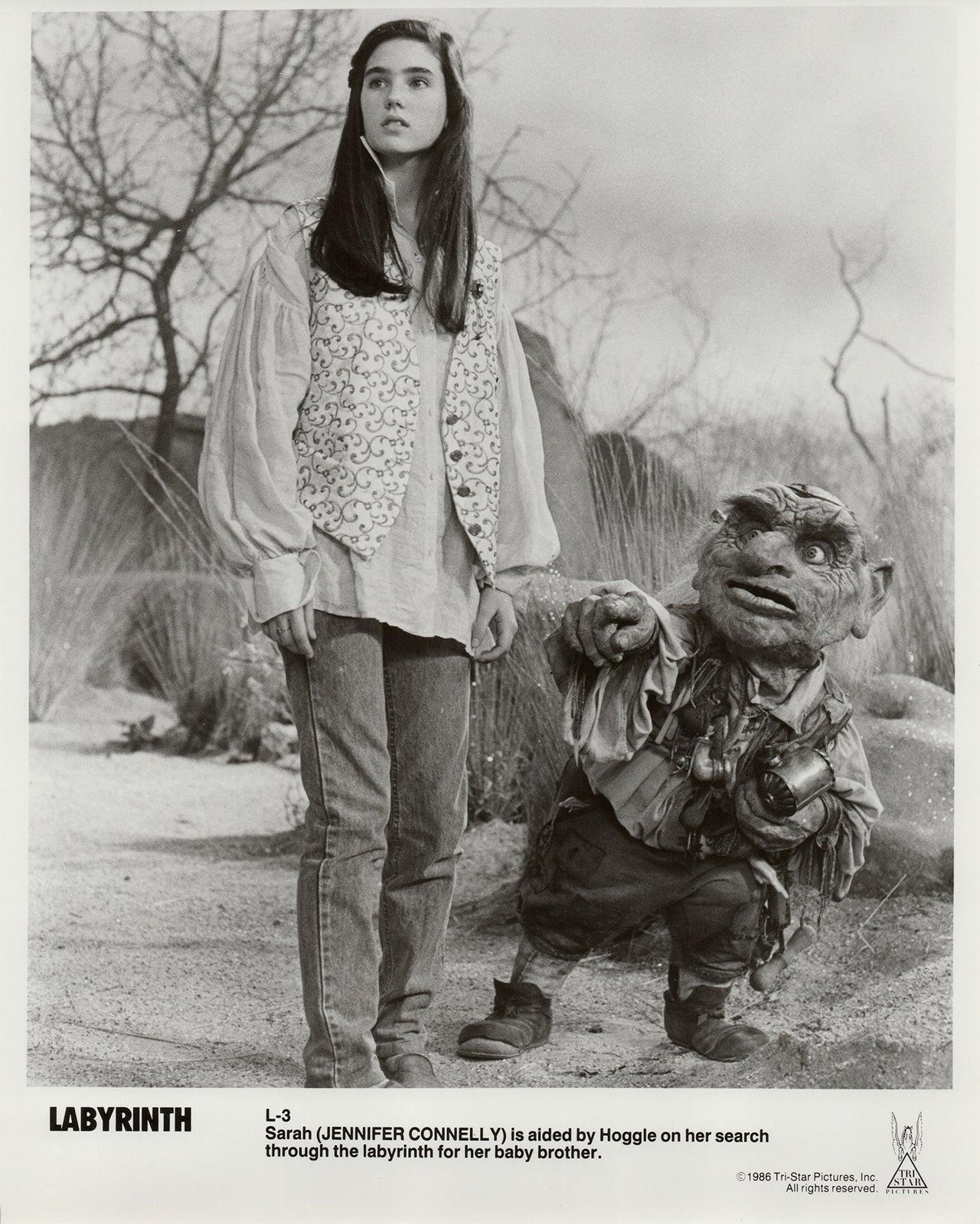 Photo de presse encadrée, Labyrinth, 1986 photo vinterior