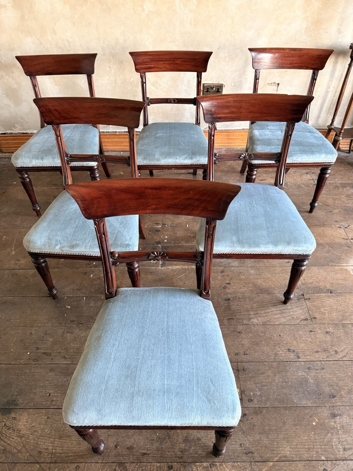 English Matching Set Of 6 Antique Mahogany Regency Blue Dining Chairs 1820c photo buy