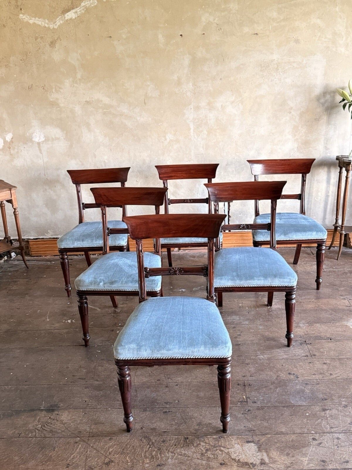 English Matching Set Of 6 Antique Mahogany Regency Blue Dining Chairs 1820c photo vintage