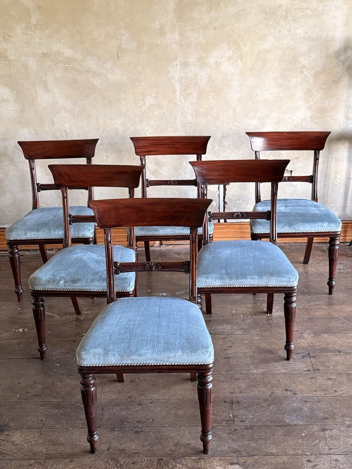 photo furniture English Matching Set Of 6 Antique Mahogany Regency Blue Dining Chairs 1820c