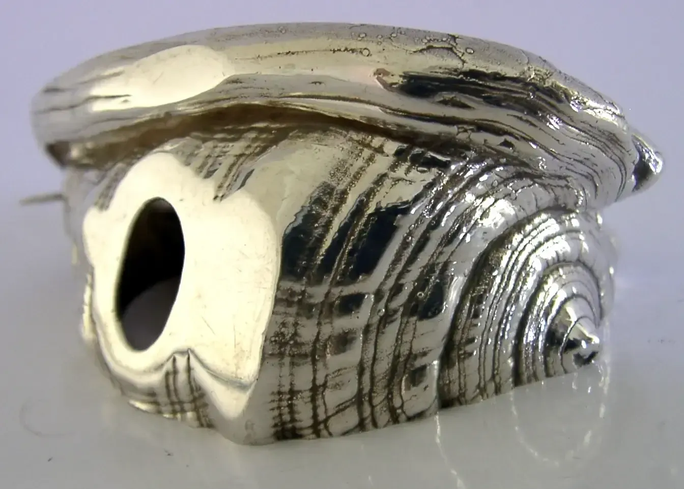 Rare Ross Morgan Style Britannia Silver Sea Shell Paper Weight London 1994 3.5in photo 240.0