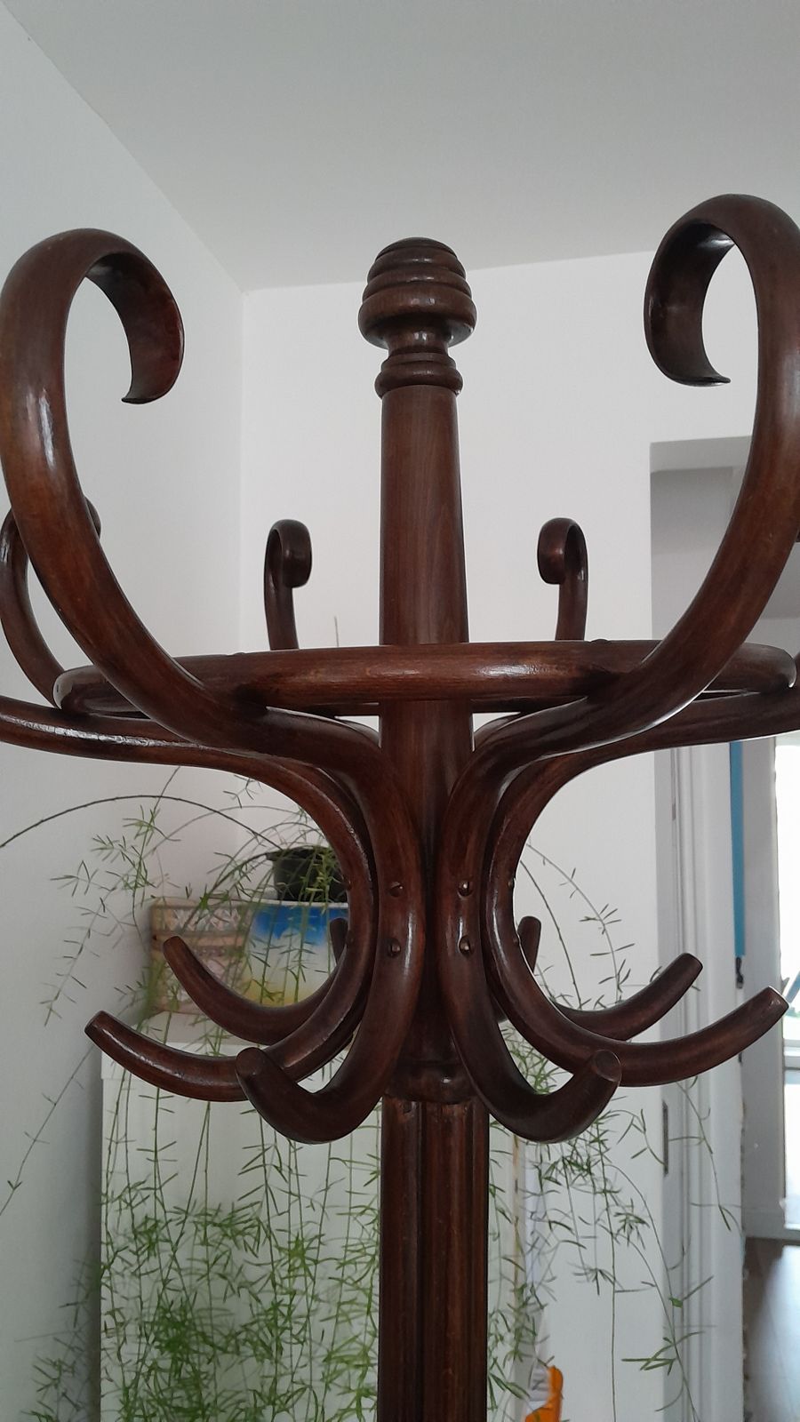Antique Thonet Bentwood Hat Umbrella And Coat Stand, "Perroquet" Stand. photo for sale