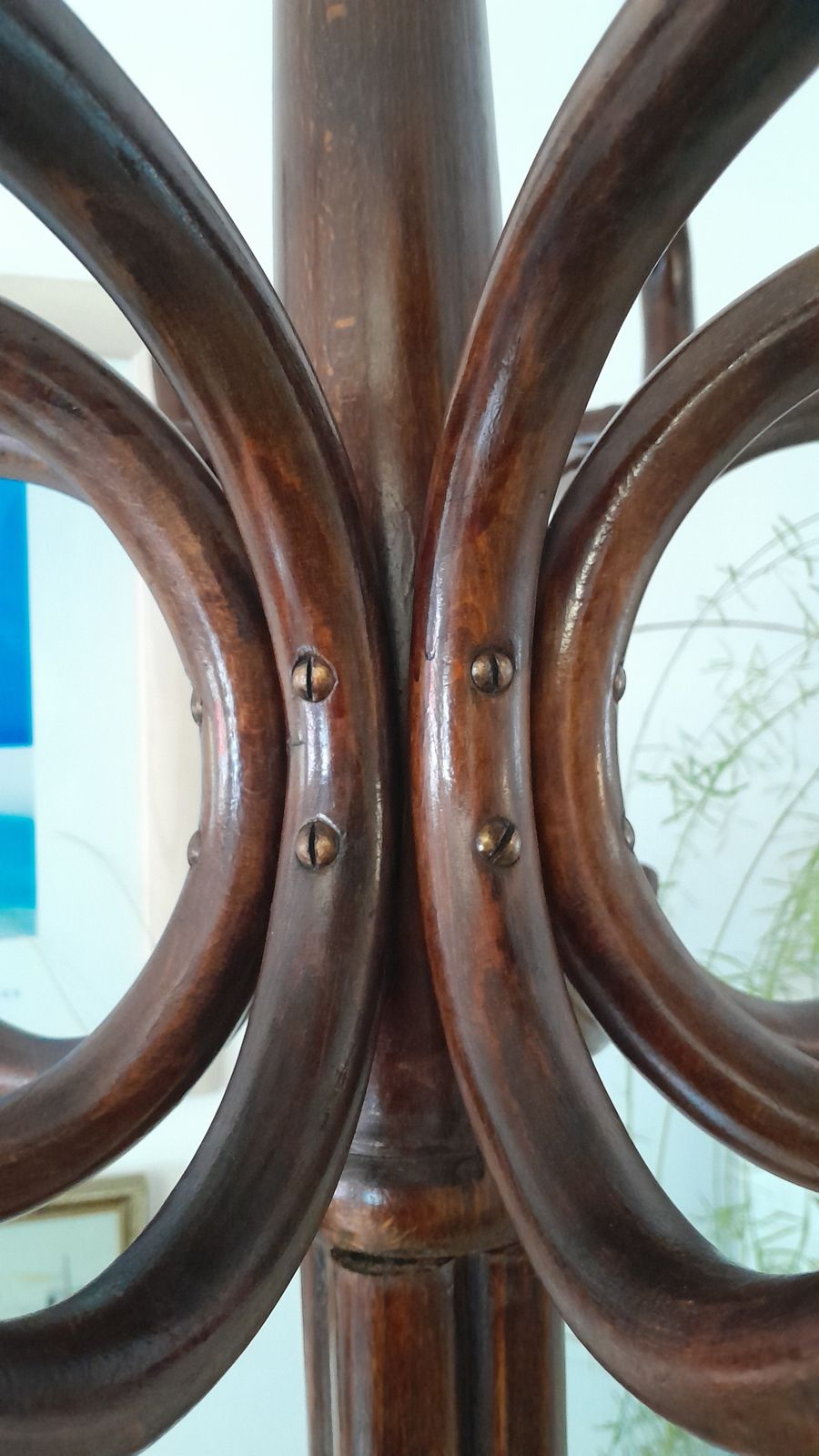 photo furniture Antique Thonet Bentwood Hat Umbrella And Coat Stand, "Perroquet" Stand.