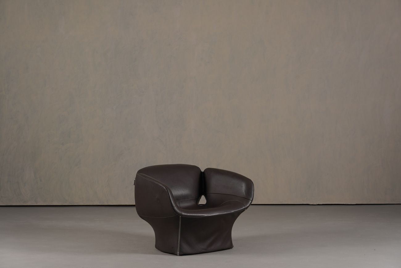 Bloomy Armchair By Patricia Urquiola photo furniture