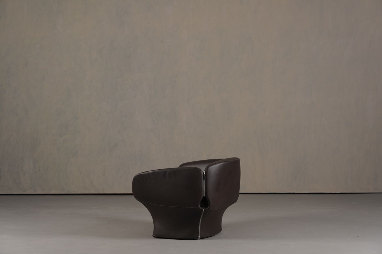 Furniture Bloomy Armchair By Patricia Urquiola photo