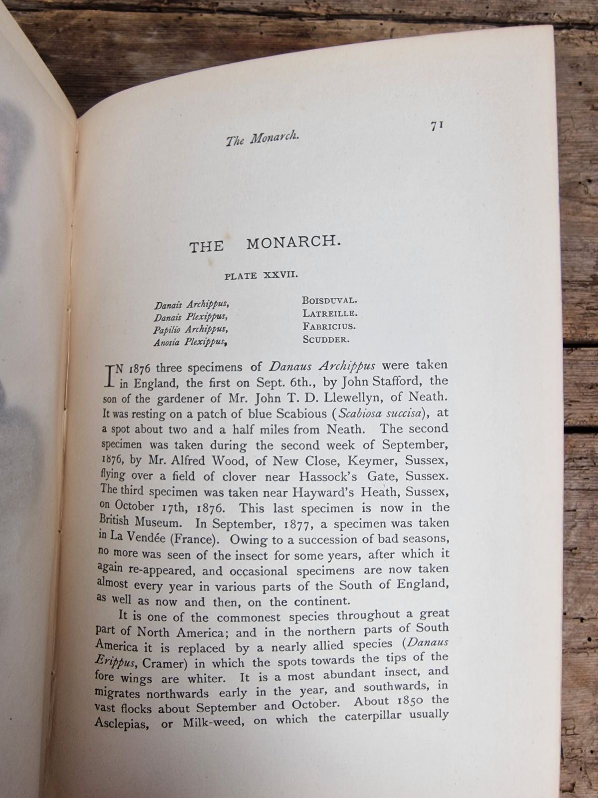 A History Of British Butterflies  Morris (Rev. F.O.) photo vinterior