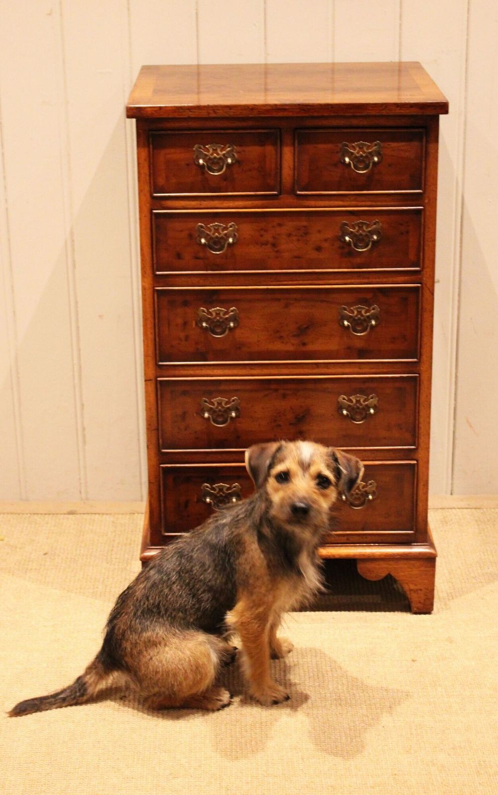 Slim Burr Yew Chest Of Drawers photo buy