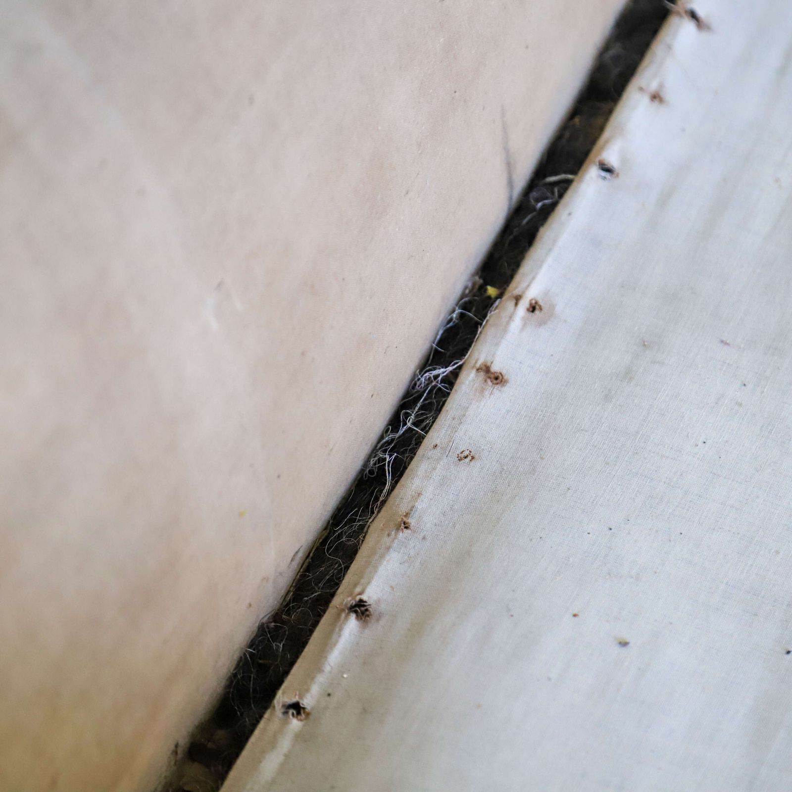 Furniture Original Condition 19th Century French Sofa Or Chaise   Lion Paw Feet, Restoration Piece photo