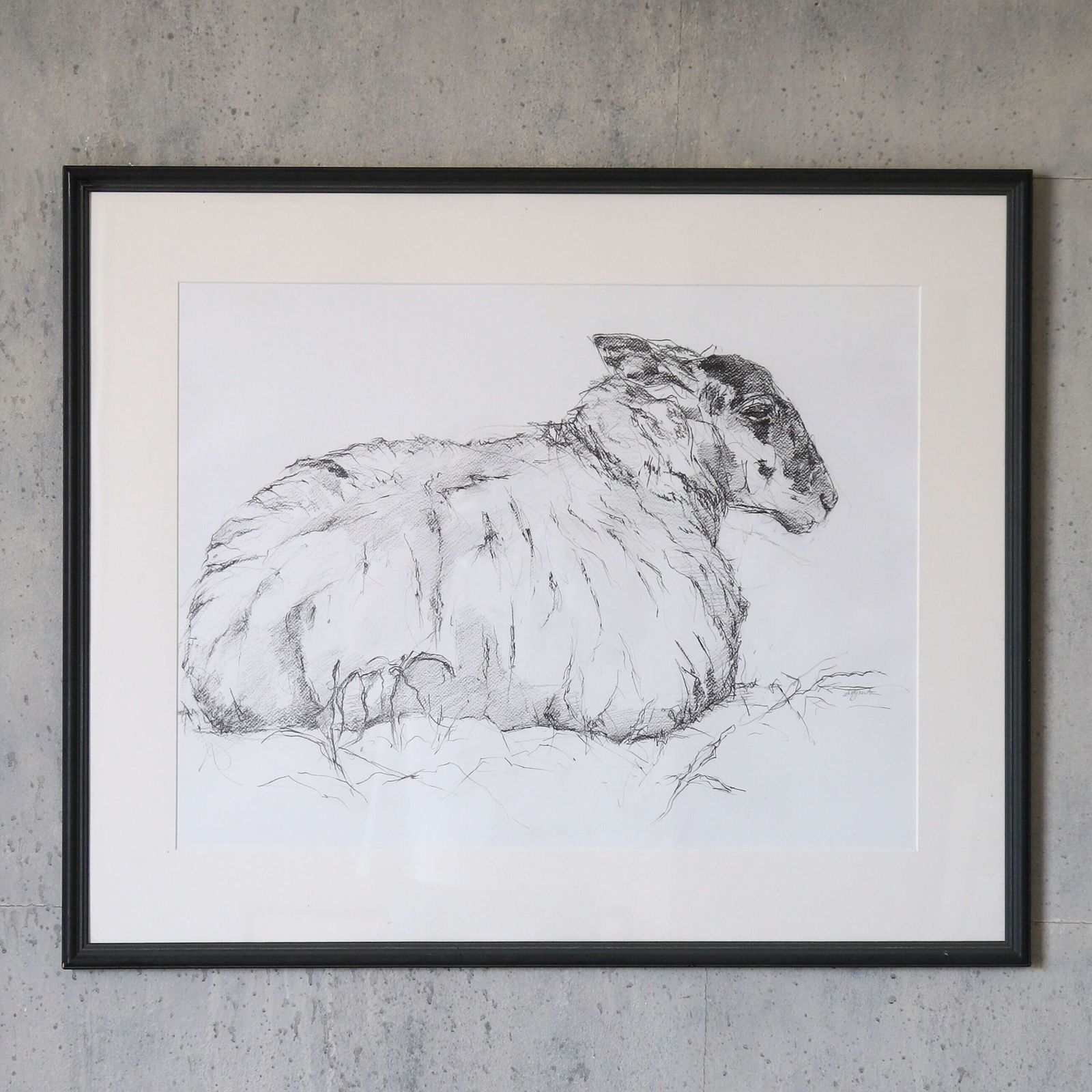 Tisbury Sheep   Original Contemporary Pencil Sketch By Sally Newton, Framed Artwork photo furniture