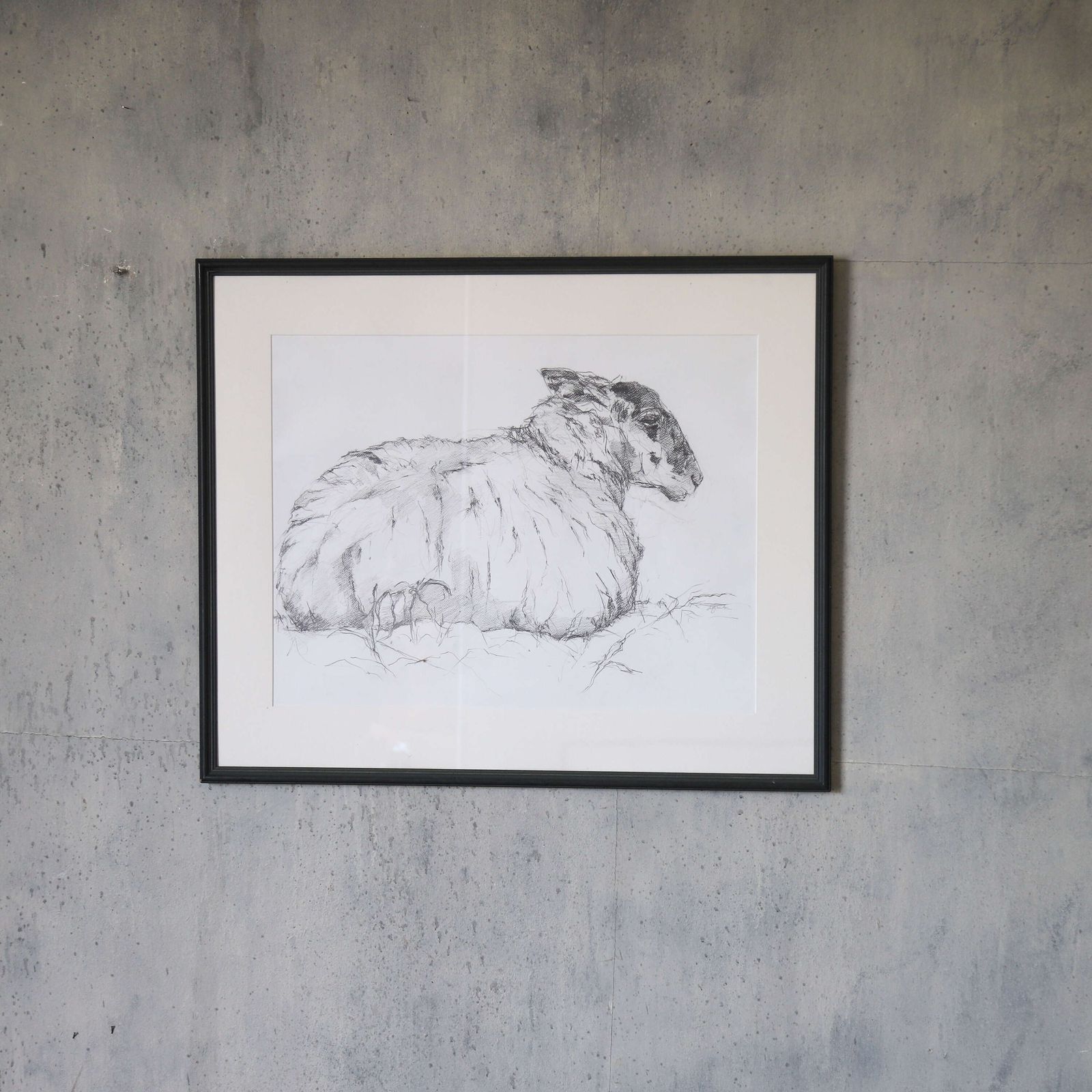 Tisbury Sheep   Original Contemporary Pencil Sketch By Sally Newton, Framed Artwork photo 695.0
