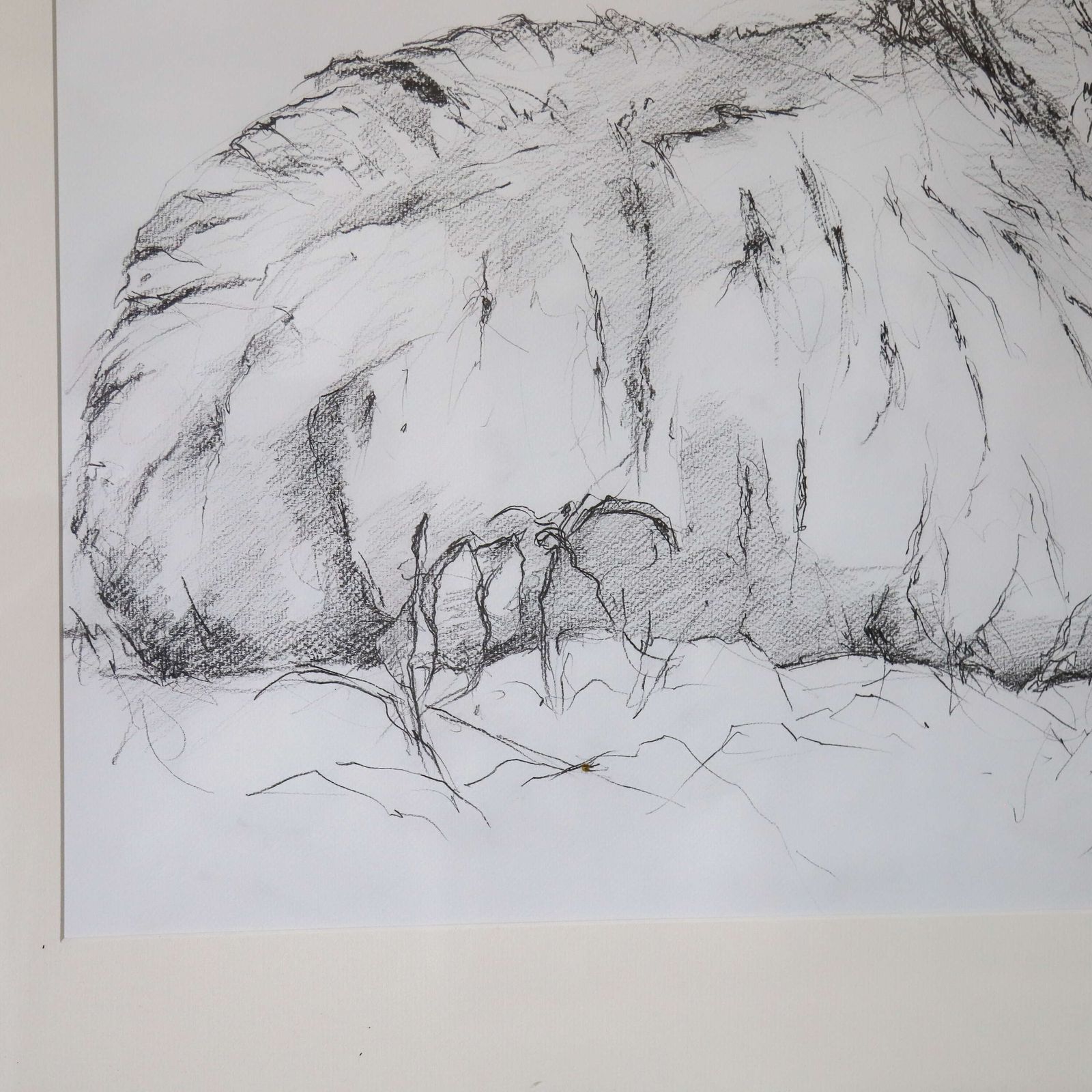 photo furniture Tisbury Sheep   Original Contemporary Pencil Sketch By Sally Newton, Framed Artwork