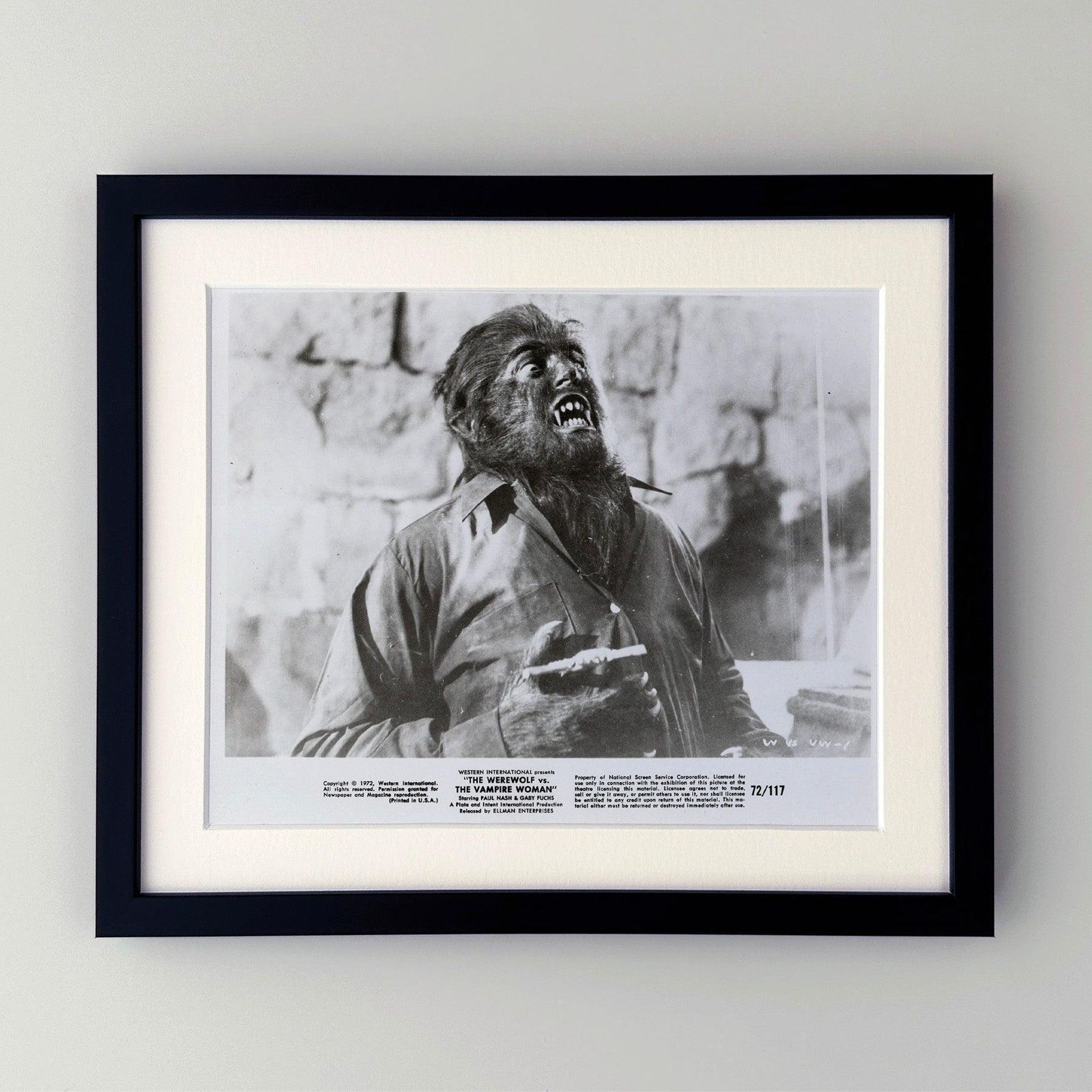 The Werewolf Versus The Vampire Woman (1971) Press Publicity Still   Framed photo furniture