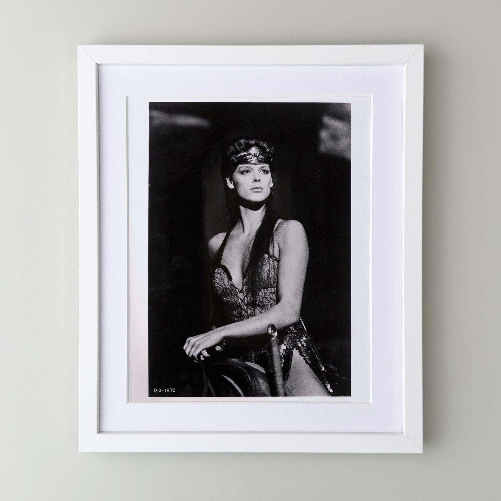 Red Sonja 1985 Publicity Film Movie Press Still Framed photo for sale