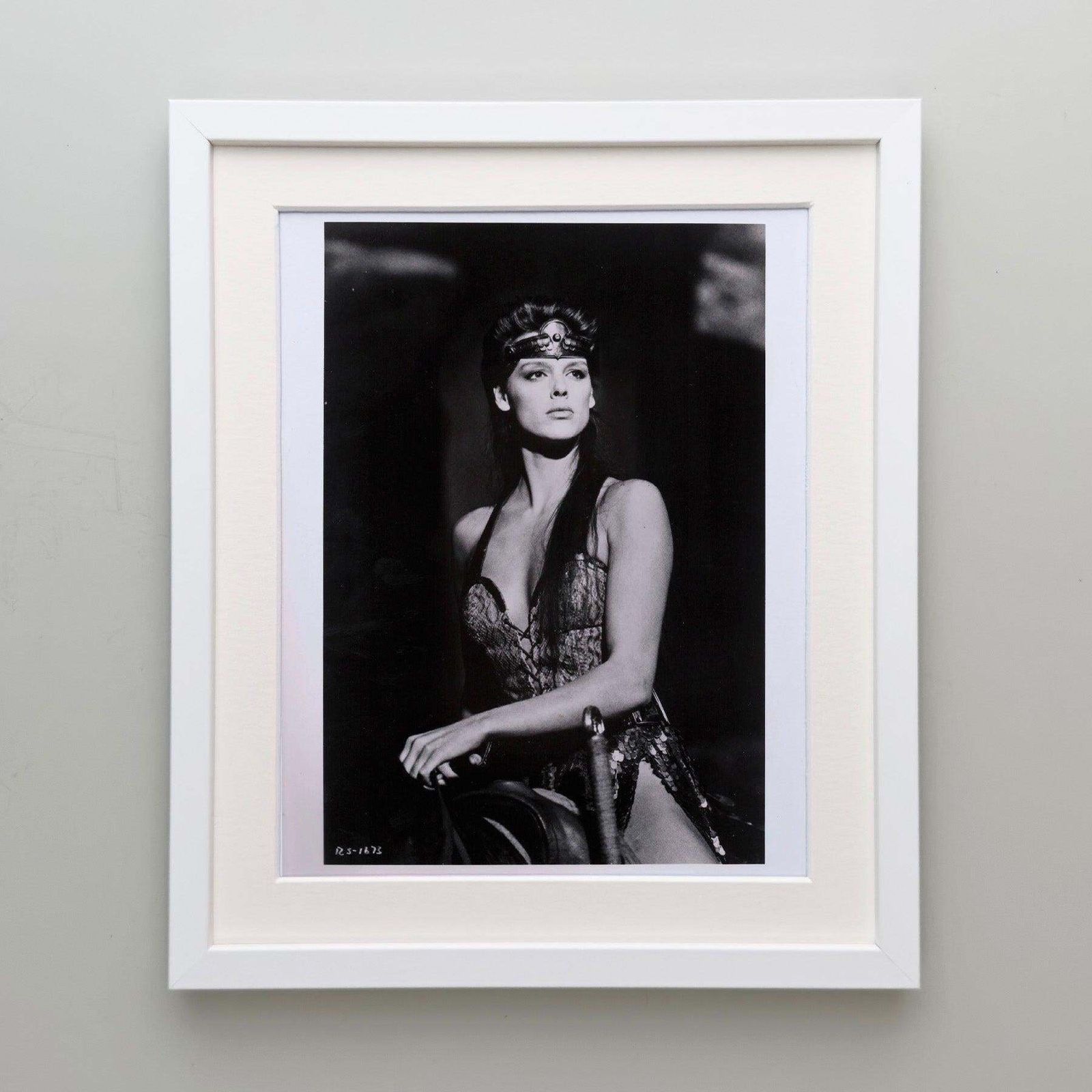 Red Sonja 1985 Publicity Film Movie Press Still Framed photo Kunst