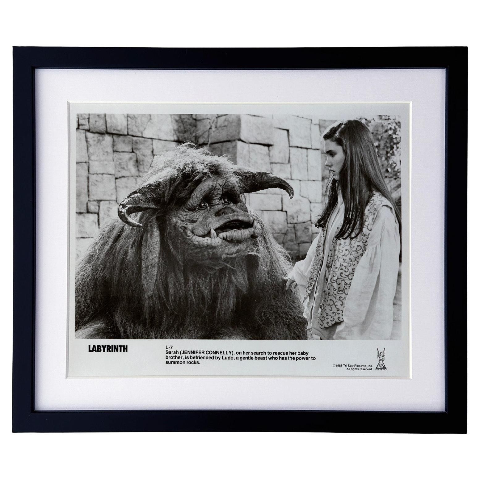 Labyrinth 1986 Publicity Film Movie Press Still Framed