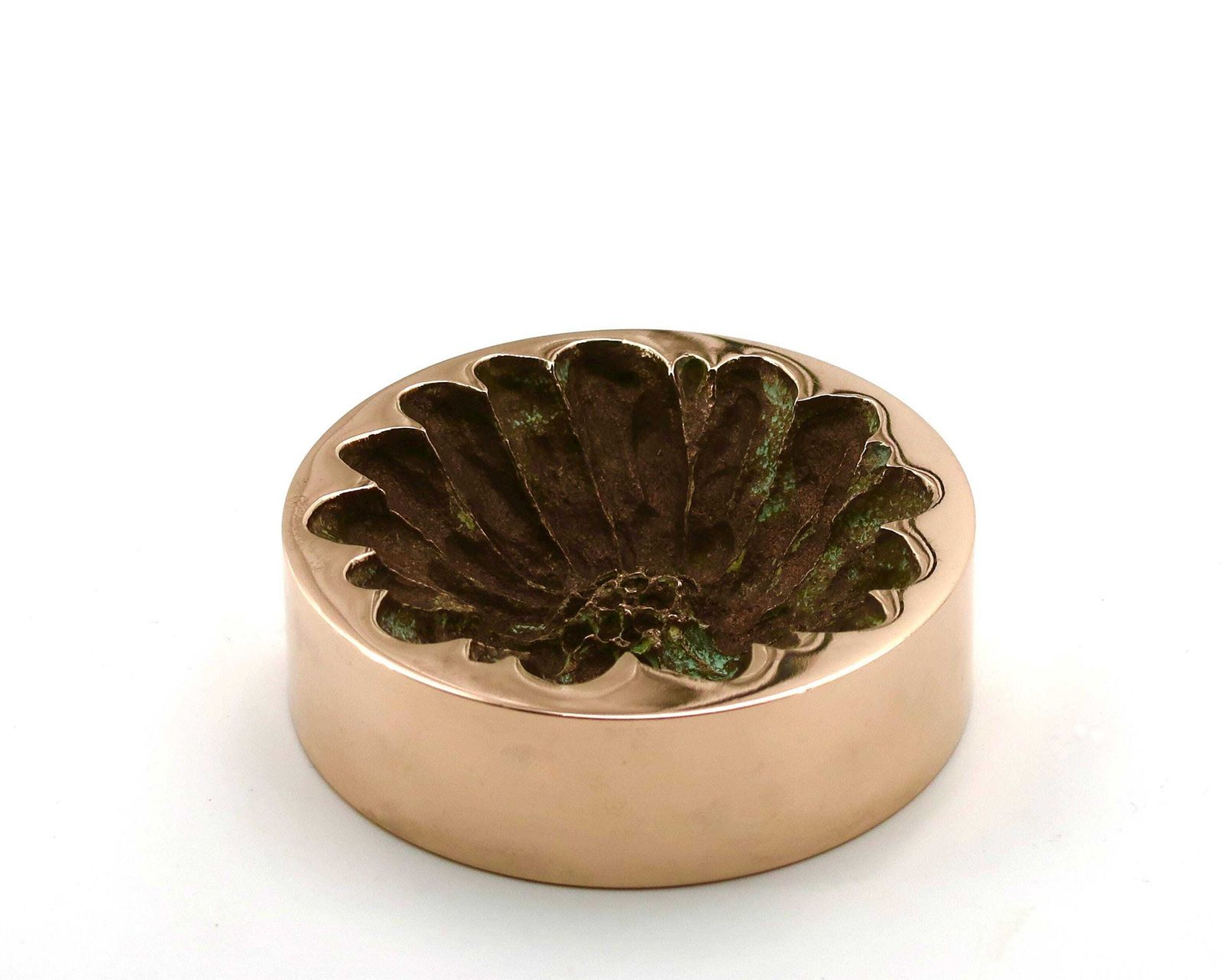 French Bronze Paperweight Sculpture By Monique Gerber, 1970s / Herbarium, Art, Flower, Home Decor photo furniture