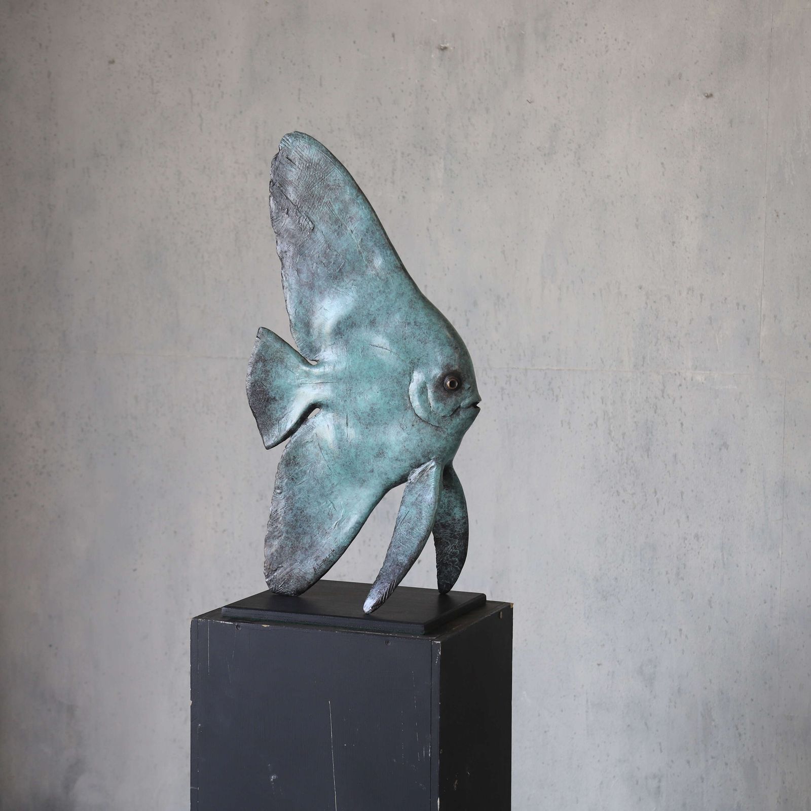 Young Longfin Batfish   Fine Art Bronze By Andrzej Szymczyk, Limited Edition 2/12 photo furniture