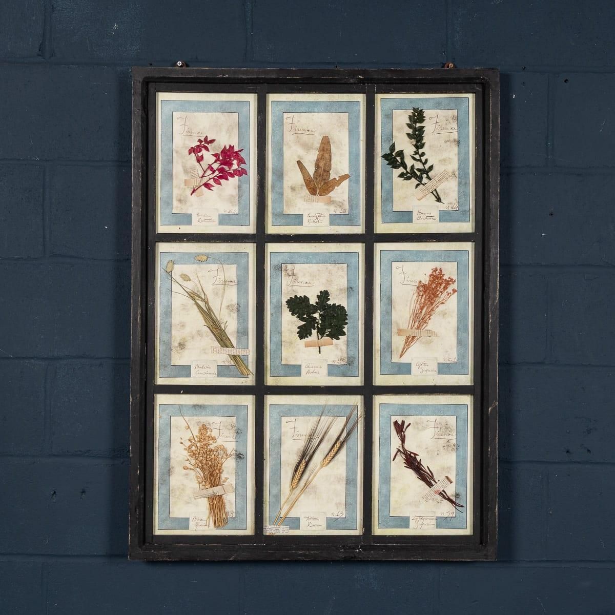 20th Century Italian Large Oak Frame Containing Pressed Flowers & Herbs photo furniture