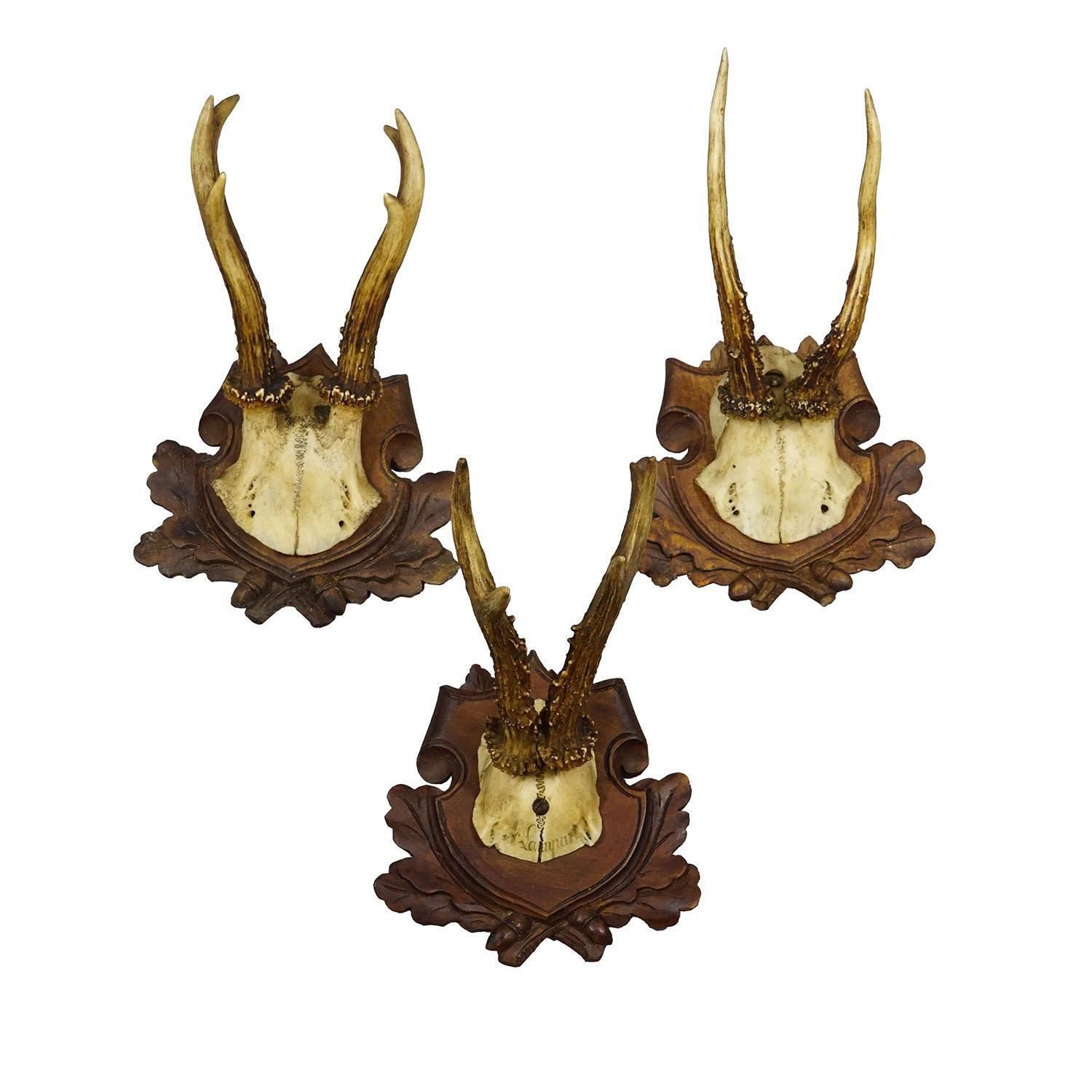Set Of Three Antique Roe Deer Trophies On Carved Plaques Germany Ca. 1900 photo furniture