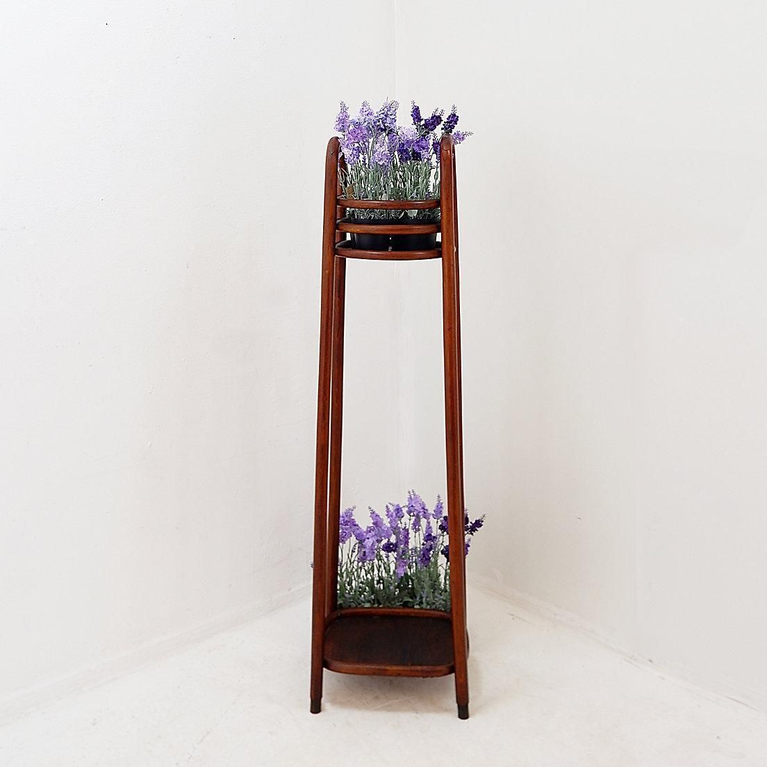 Bentwood Pedestal   Flower Stand Attributed To Jacob & Josef Kohn, 1890s photo Home Decor