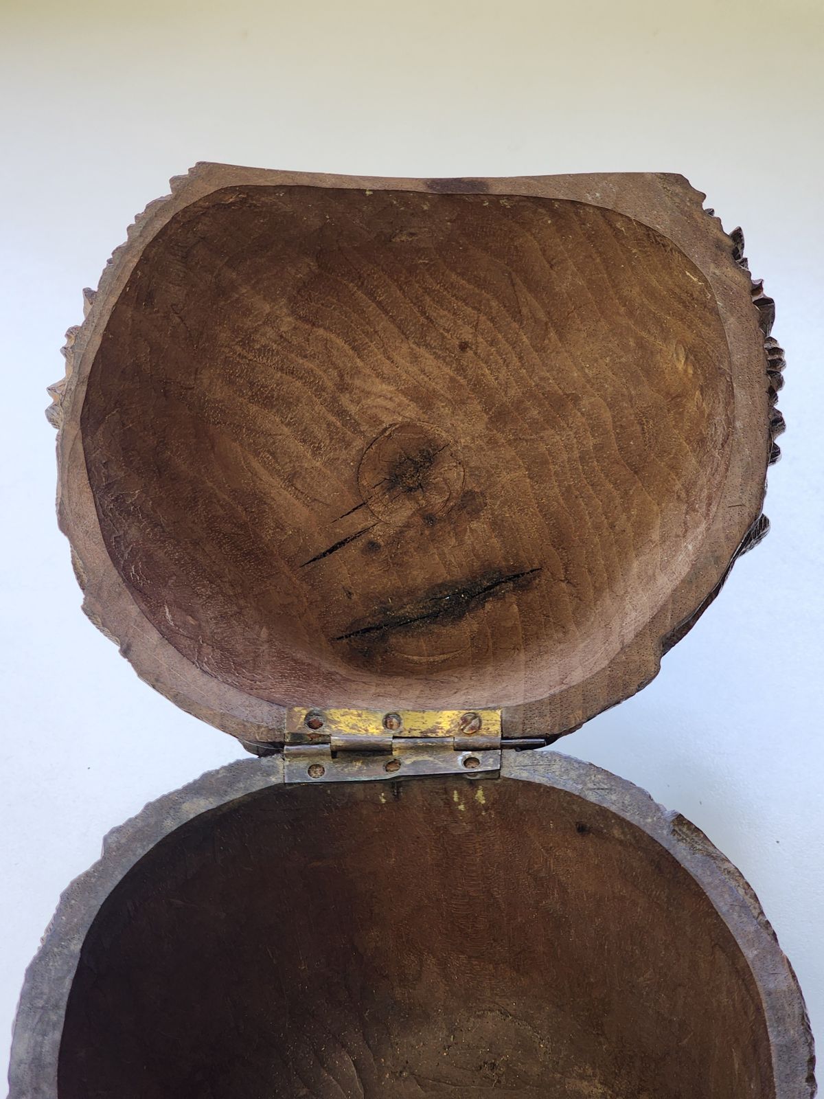 825.0 Wooden Carved Black Forest Terrier Tobacco Jar photo