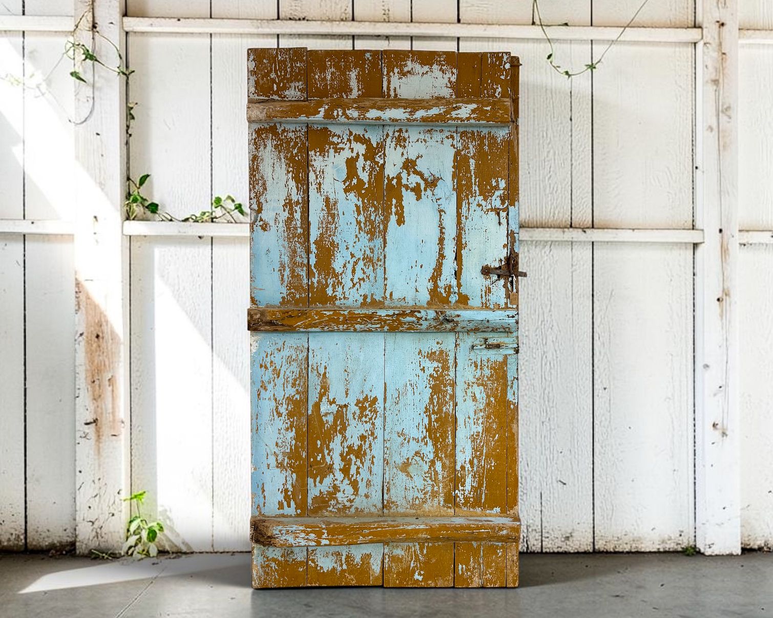 19th Century Antique Wooden Barn Door