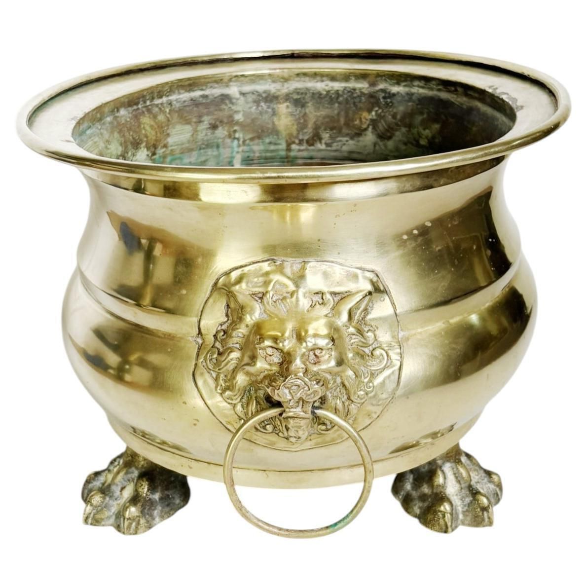 Champagne Cooler Plant Stand, Brass, France, 1950