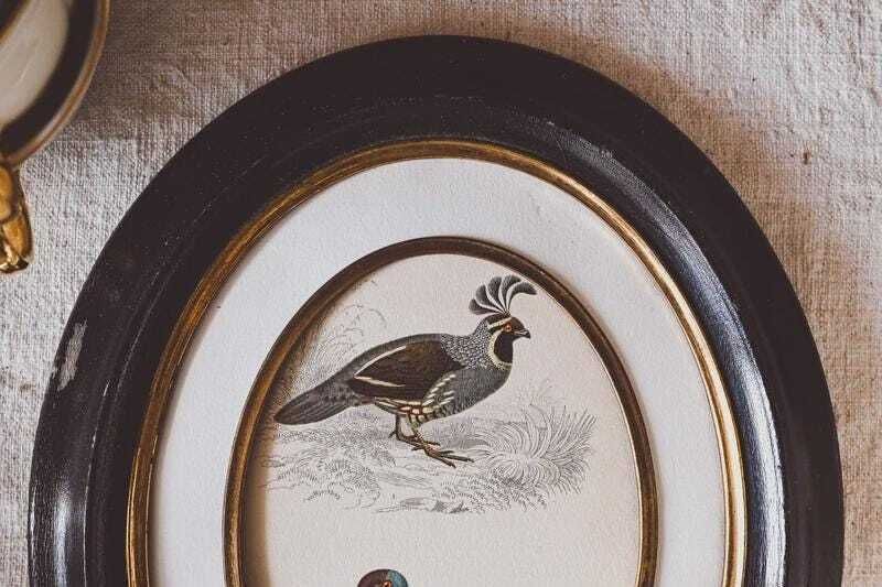 Pair Antique Napoleon III Oval Frames Bird Prints Black Gold Wood 19th Century Wall Decor photo vintage
