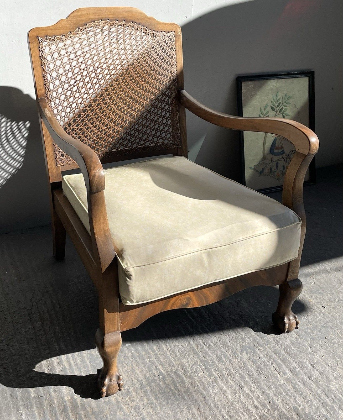 Early 20th Century Walnut Cane Back Bergere Armchair Ball & Claw Feet photo Furniture