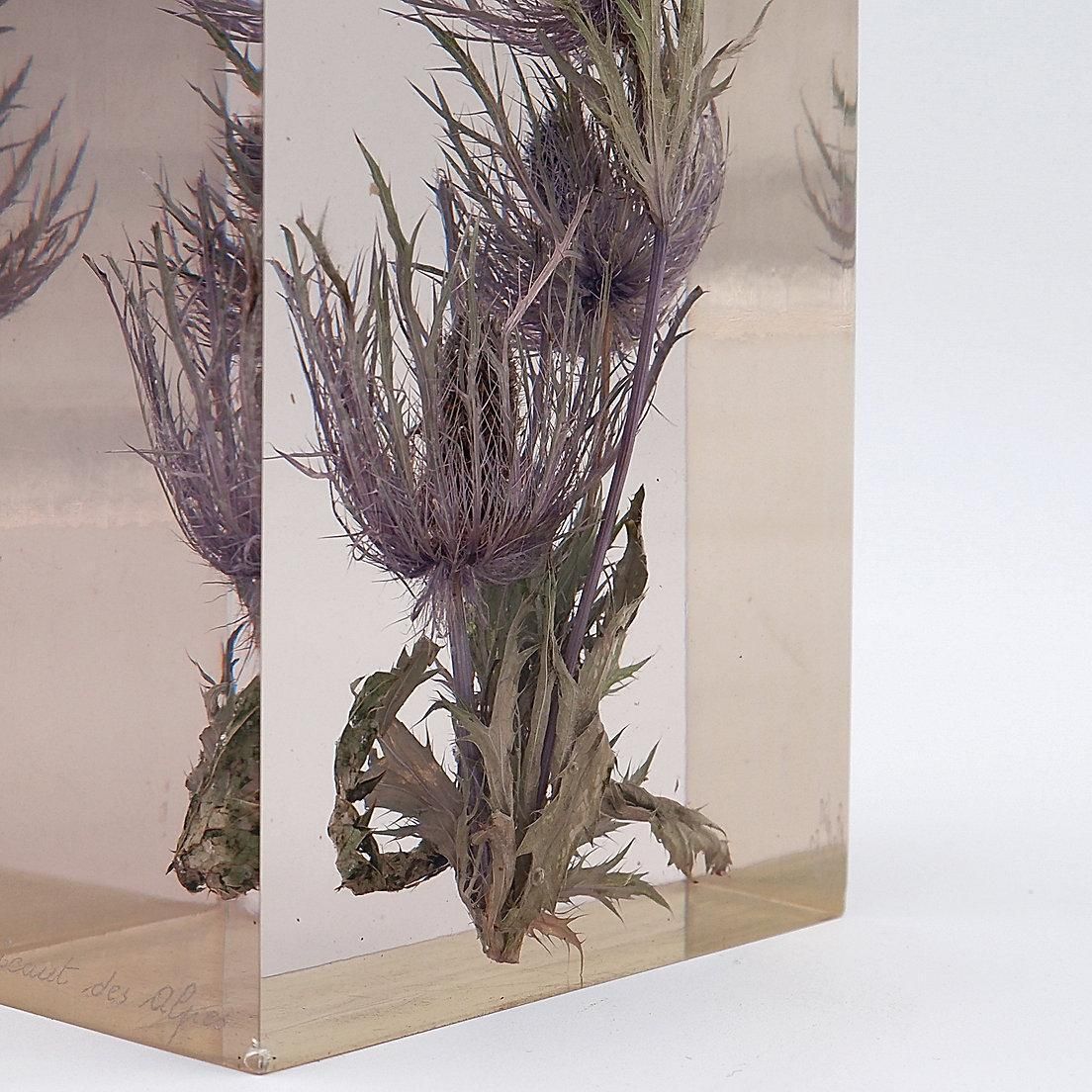 photo furniture "Panicaut Des Alpes" French Resin Paperweight By Pierre Bodin   1980s